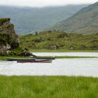 Irland, Ring of Kerry