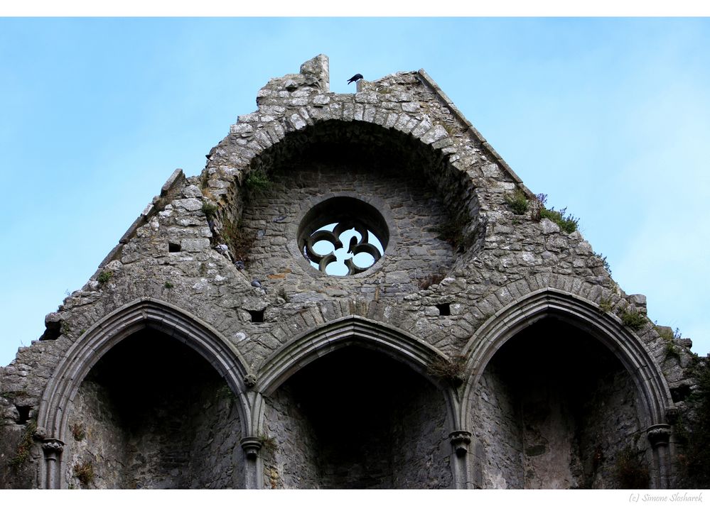 ~ Irland : Rock of Cashel I ~
