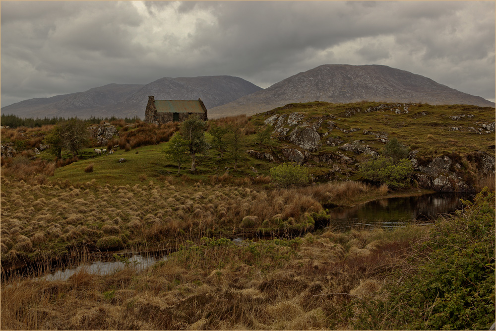 Irland-Serie 10 - Moorlandschaft