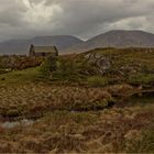 Irland-Serie 10 - Moorlandschaft