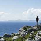 irland sheep´s head