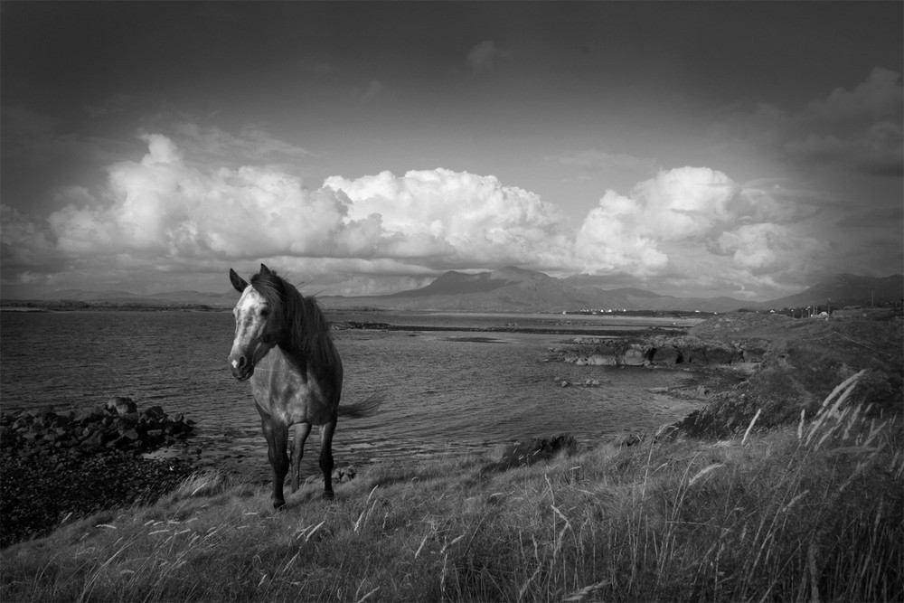 Irland Sommer 2009