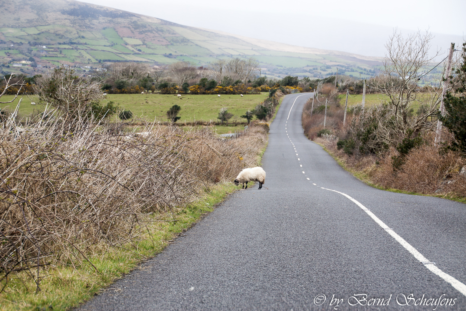 Irland Südwesten 2015