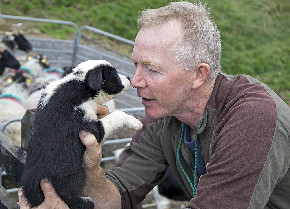 Irland - Tom and Tim