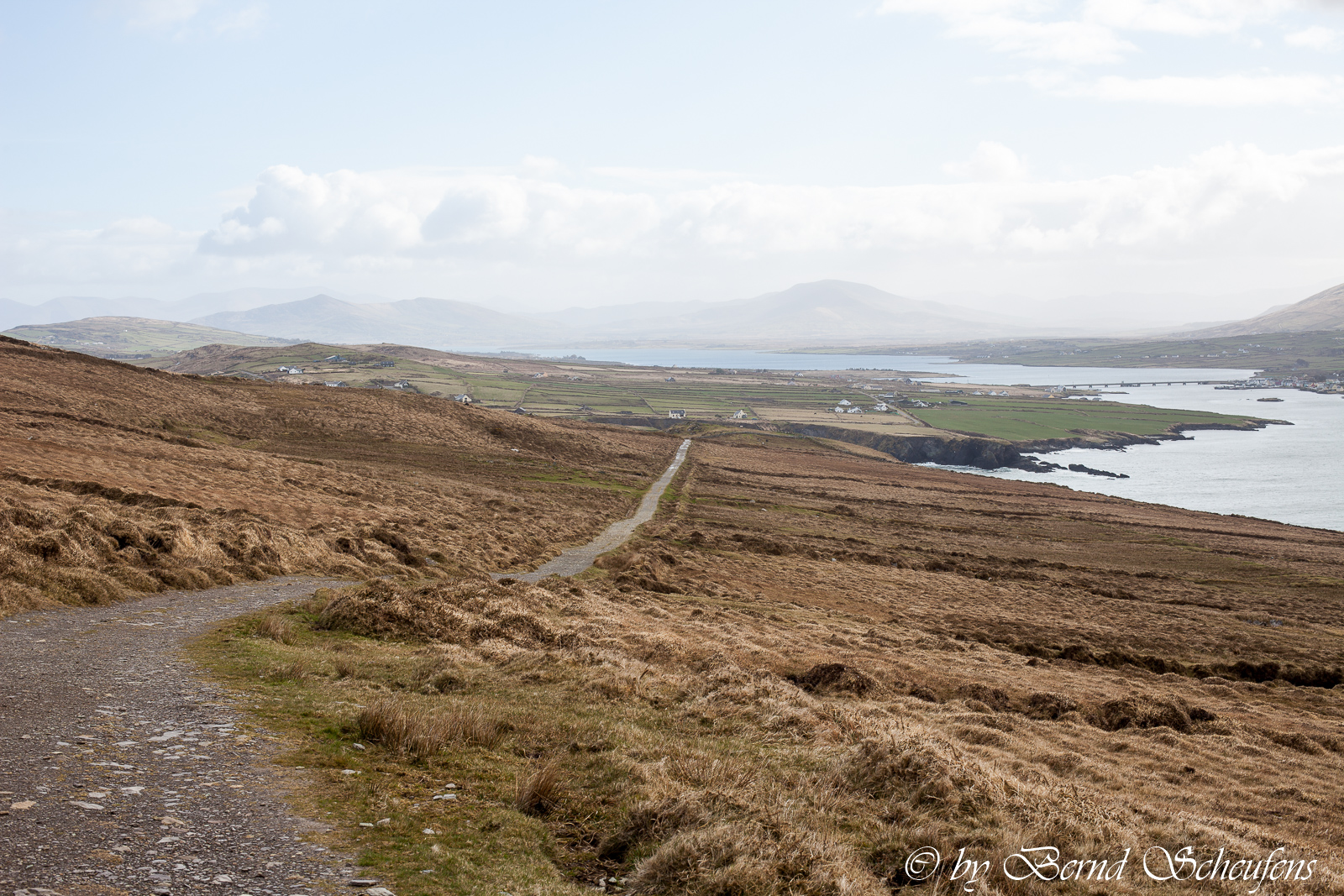 Irland Valentia Island 2015