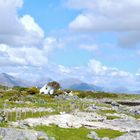 Irland - Westküste mit den Bergen von Connemara