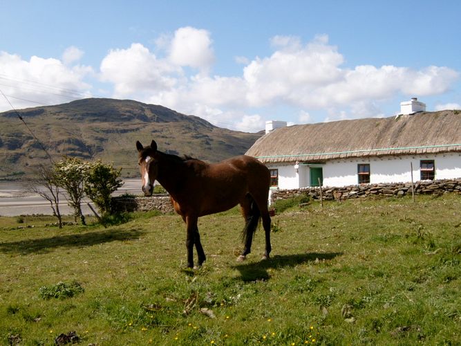 Irland wie im Bilderbuch