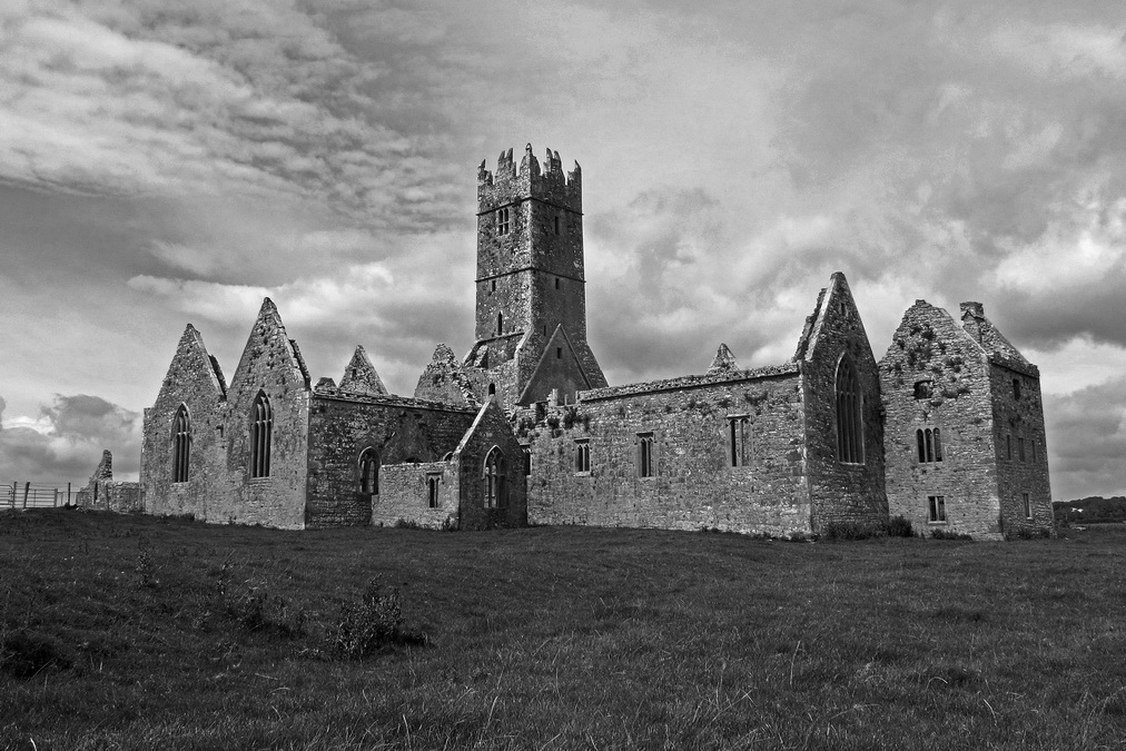 Irland XII - Ross Errilly Friary