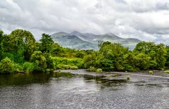 Irland/Killarney Nationalpark