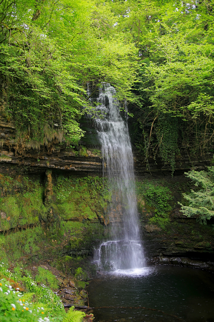 Irlandreise 2017...069 County Sligo