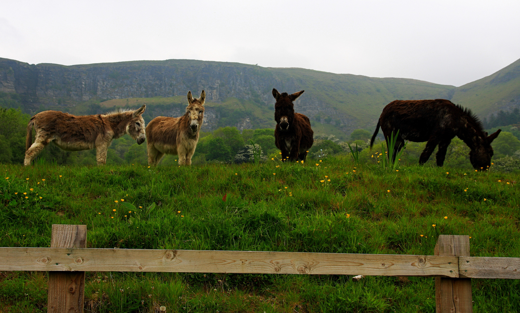 Irlandreise 2017...071 County Sligo