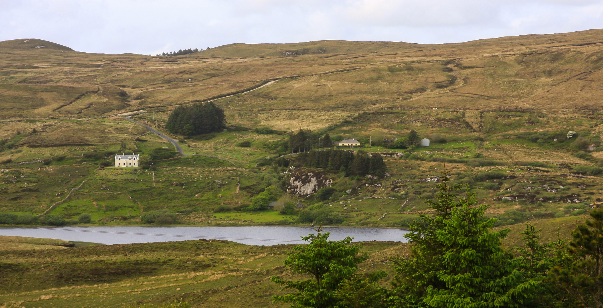 Irlandreise 2017...123 County Galway