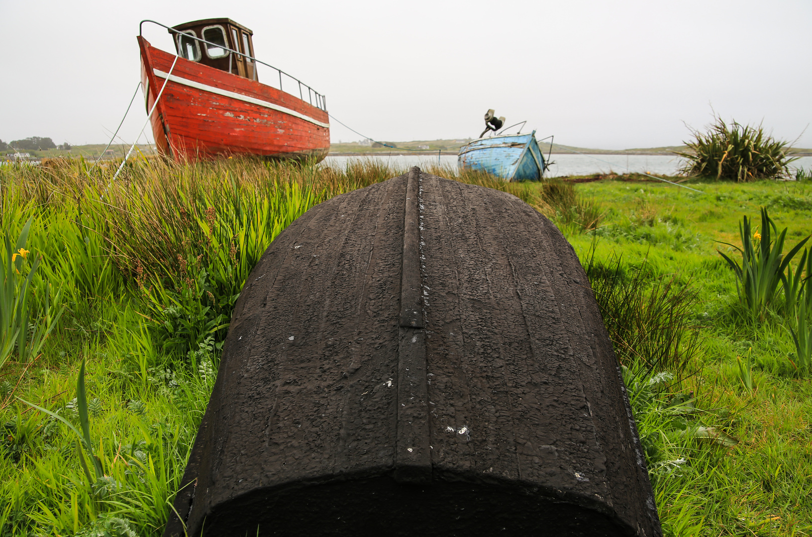 Irlandreise 2017...139 County Galway