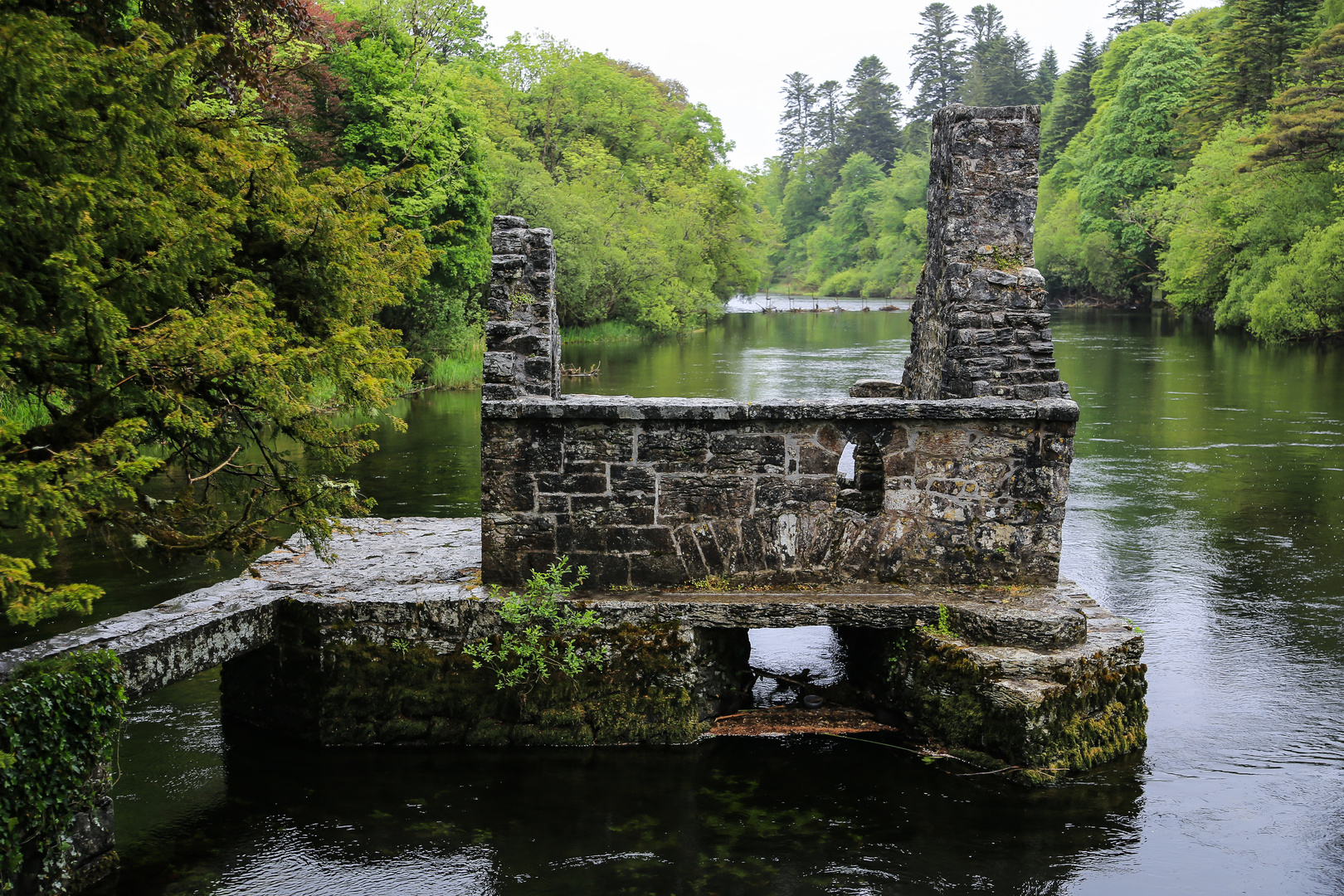 Irlandreise 2017...147 County Galway