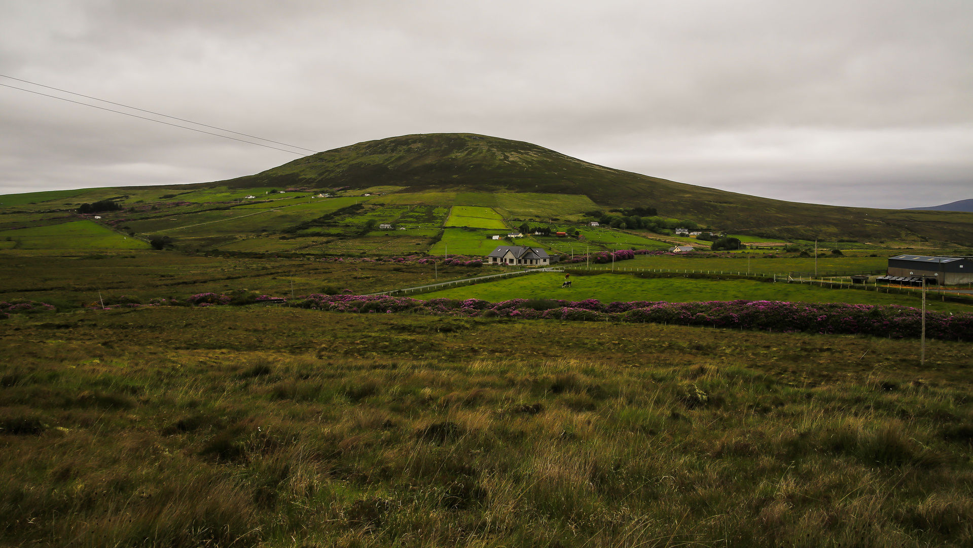 Irlandreise 2017...312   County Mayo