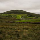 Irlandreise 2017...312   County Mayo