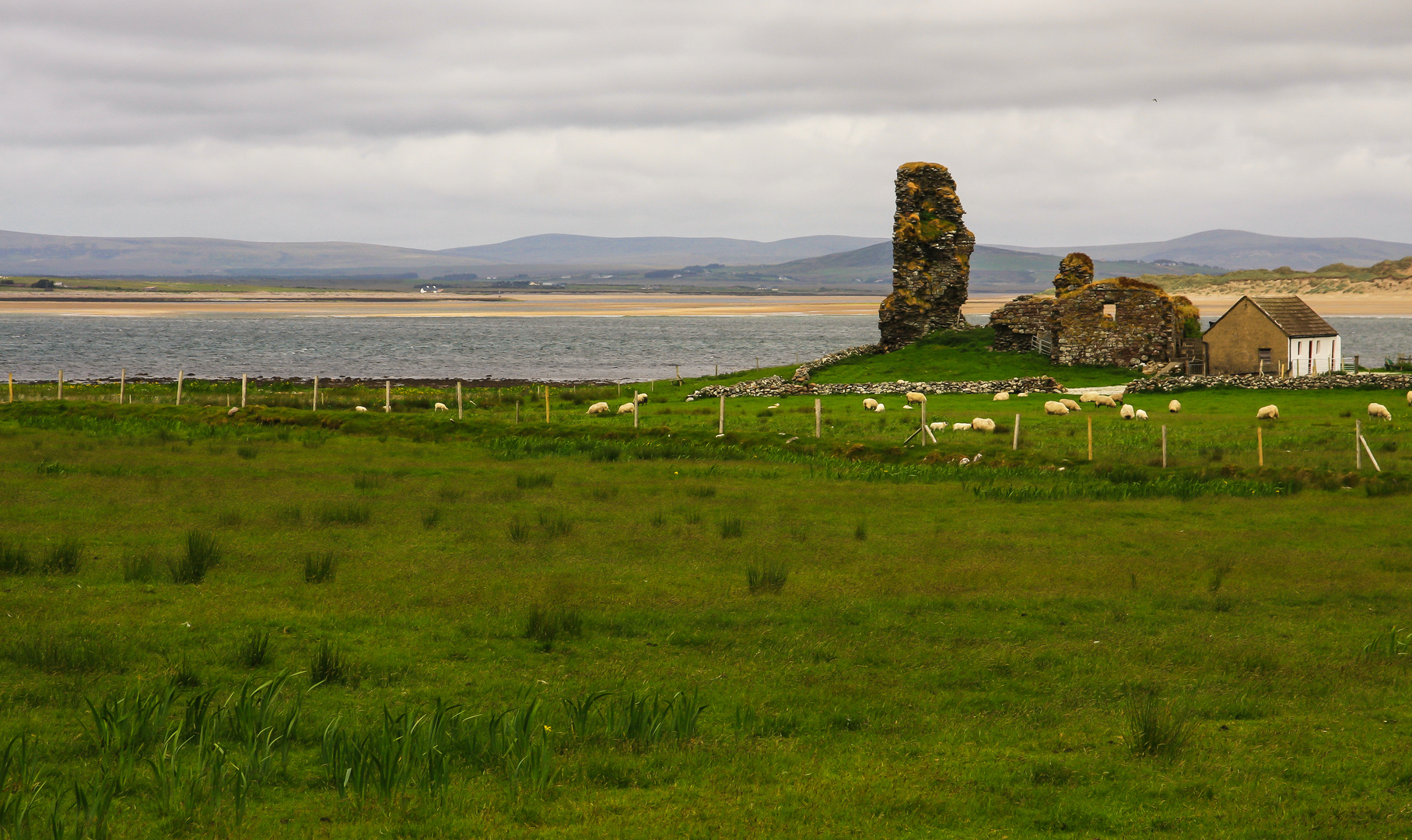 Irlandreise 2017...315   County Mayo