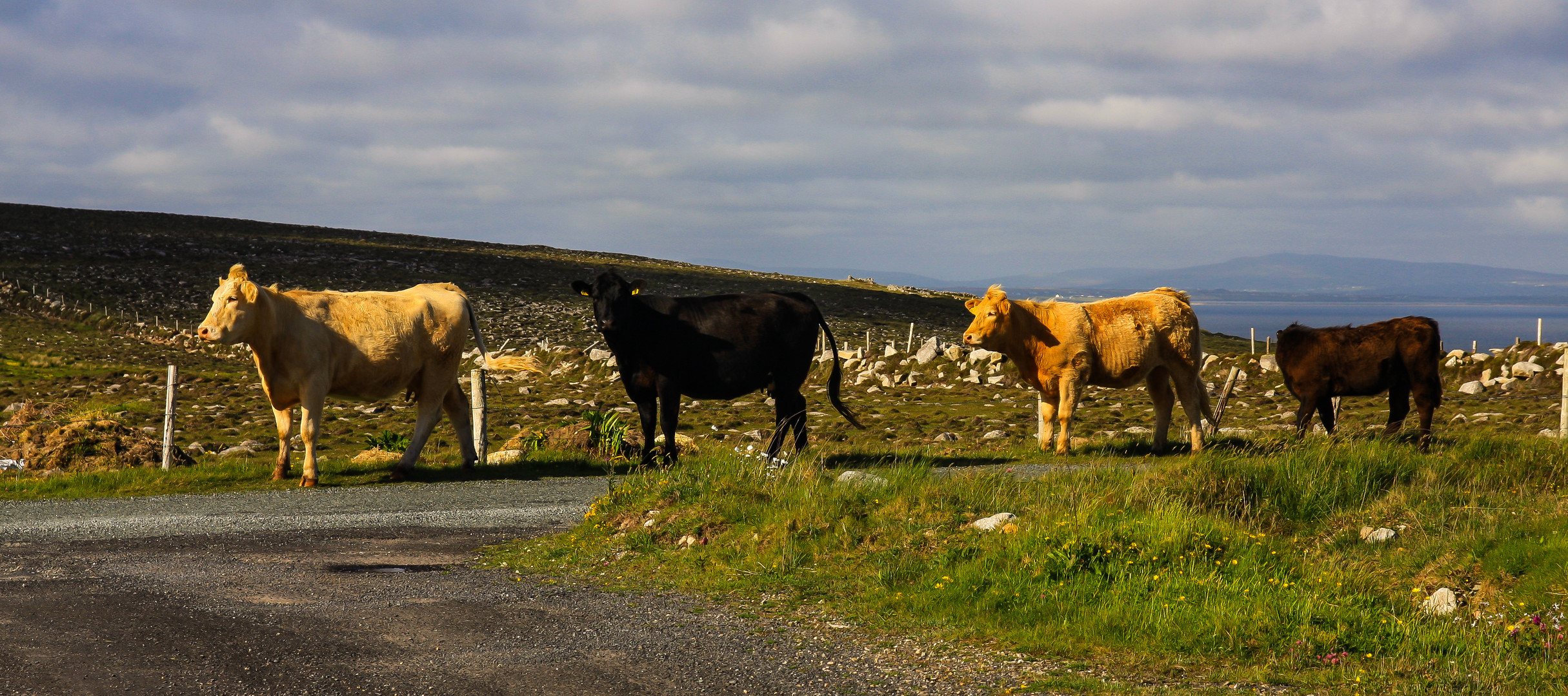 Irlandreise 2017...336   County Mayo