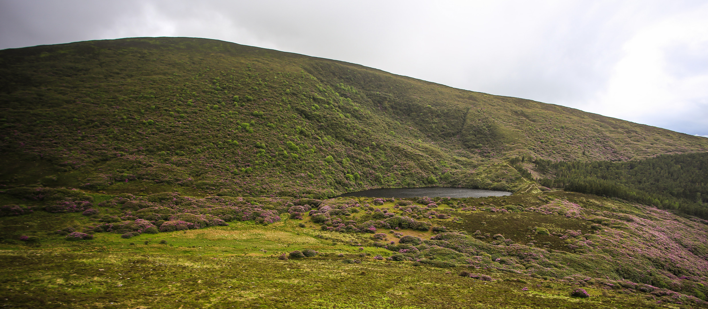 Irlandreise 2017...364   County Cork