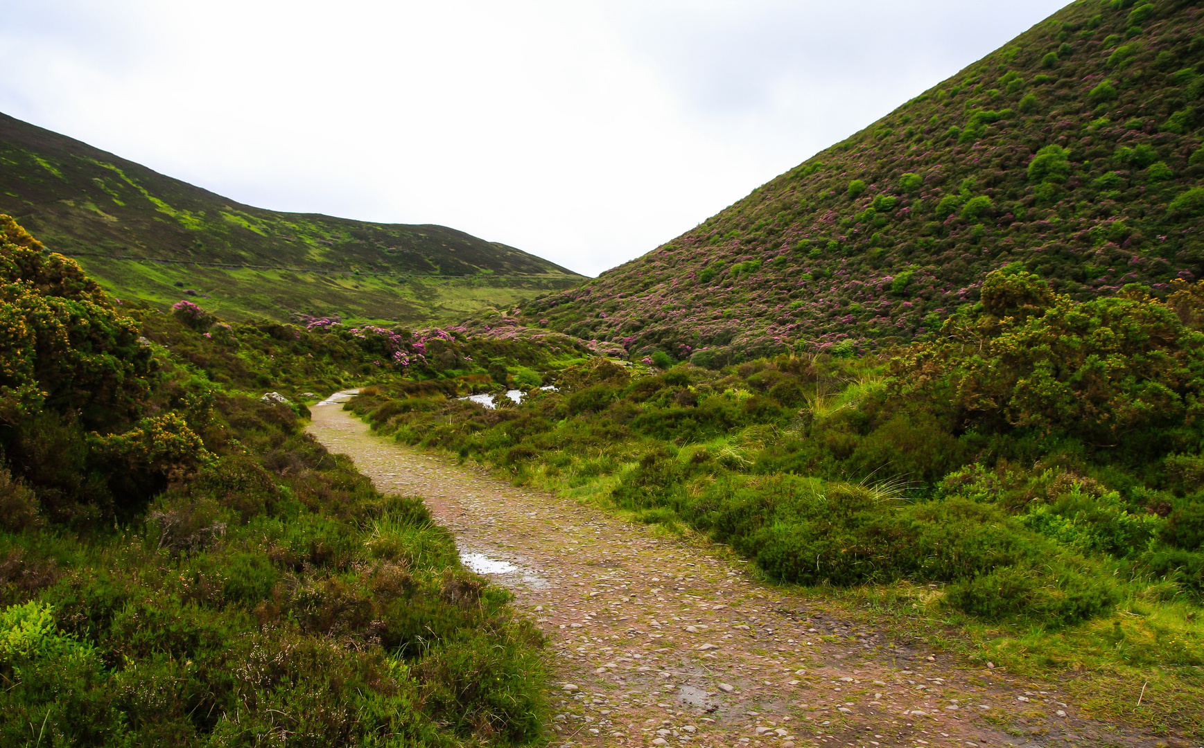 Irlandreise 2017...367   County Cork