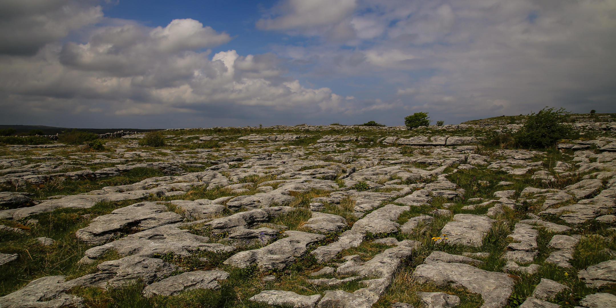 Irlandreise  2018 County Clare...316