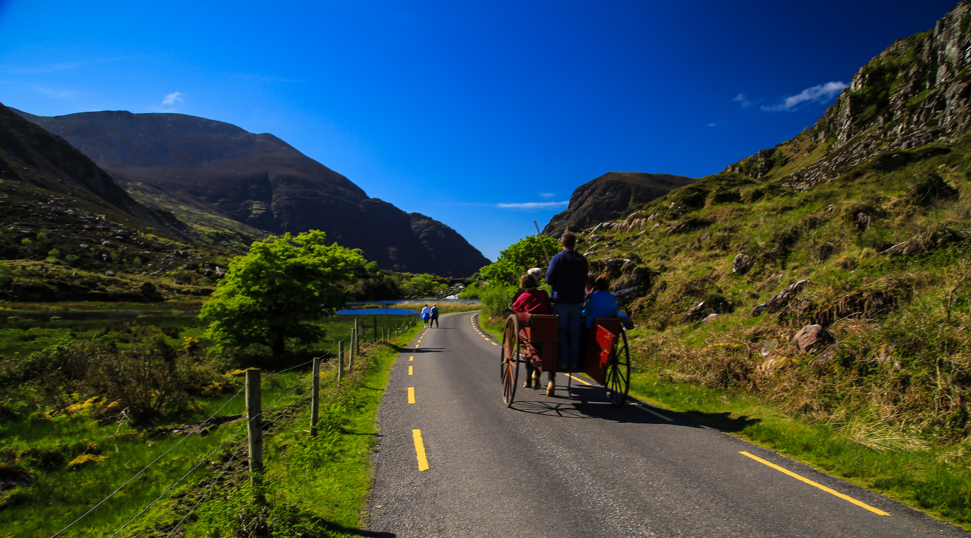 Irlandreise  2018 County Kerry...368