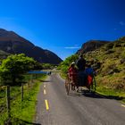 Irlandreise  2018 County Kerry...368