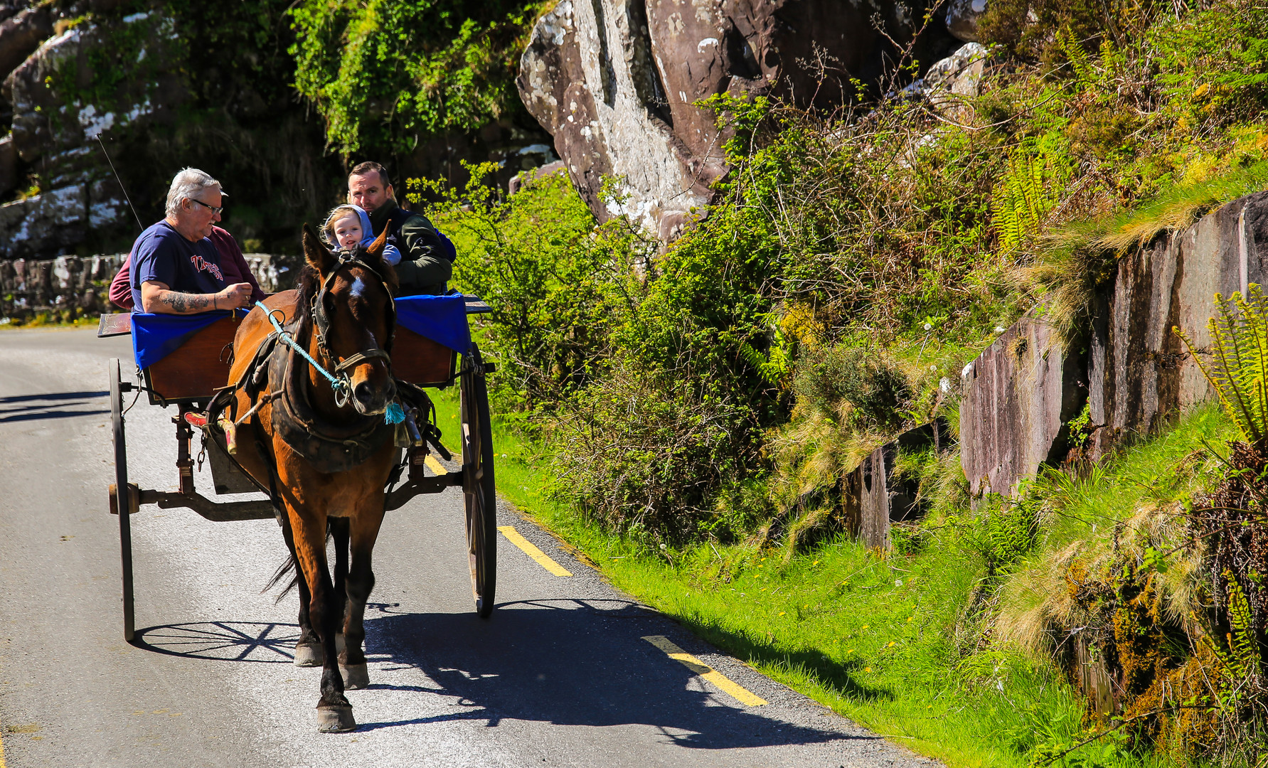 Irlandreise  2018 County Kerry...370