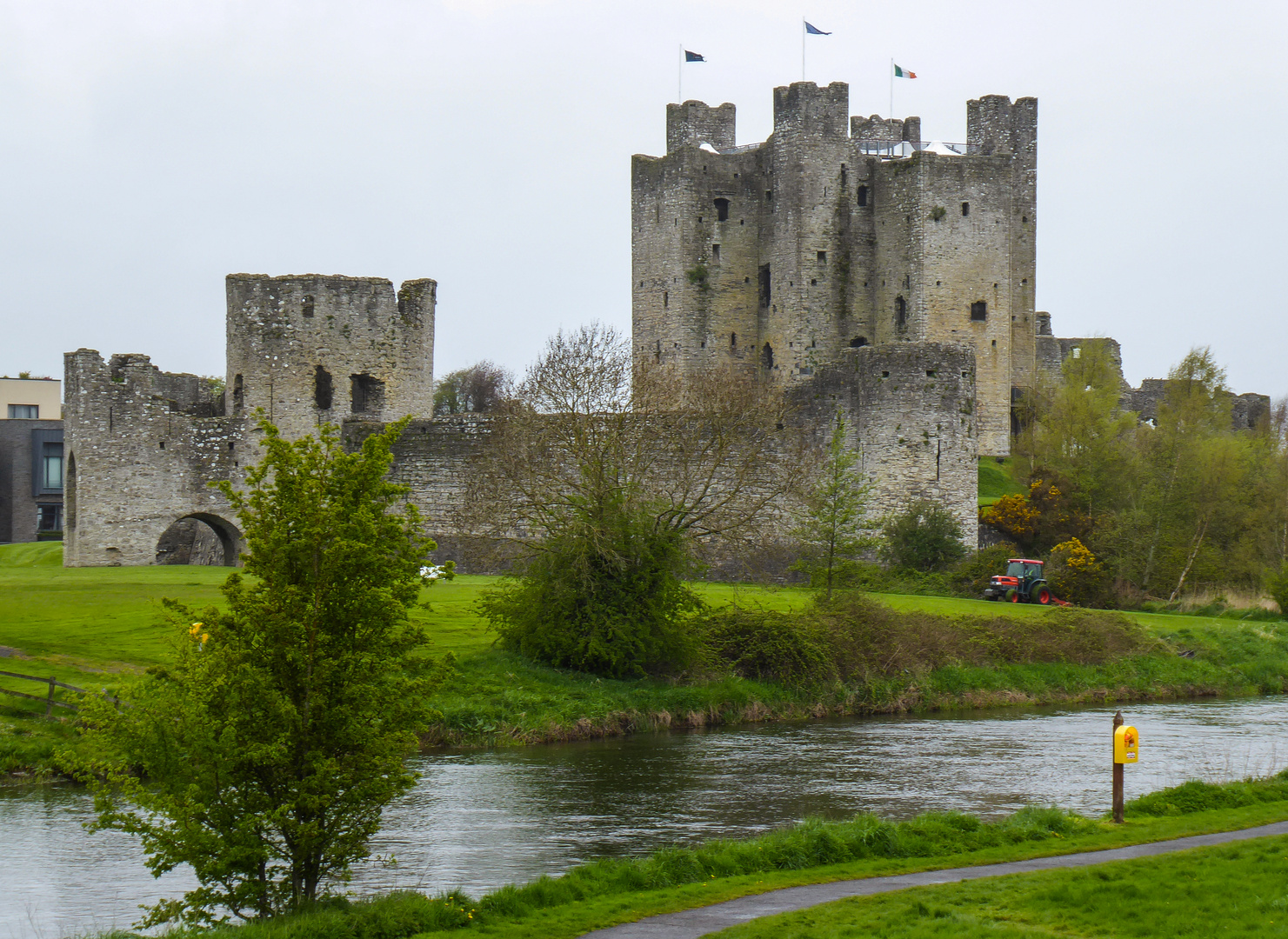 Irlandreise  2018 County Meath...071