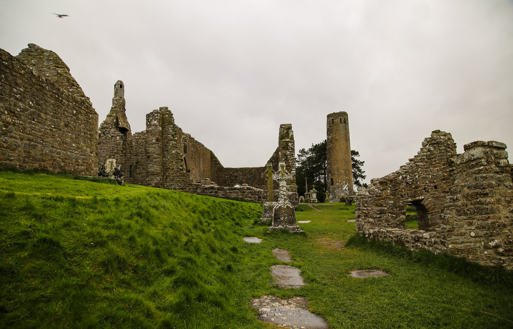 Irlandreise  2018 County Offaly...063