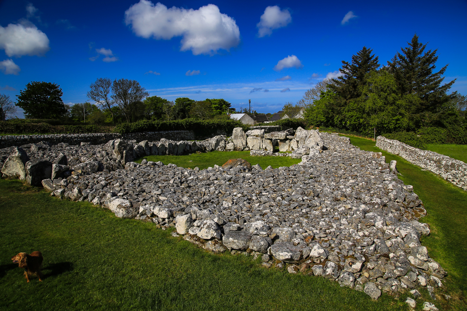 Irlandreise  2018 County Sligo...215