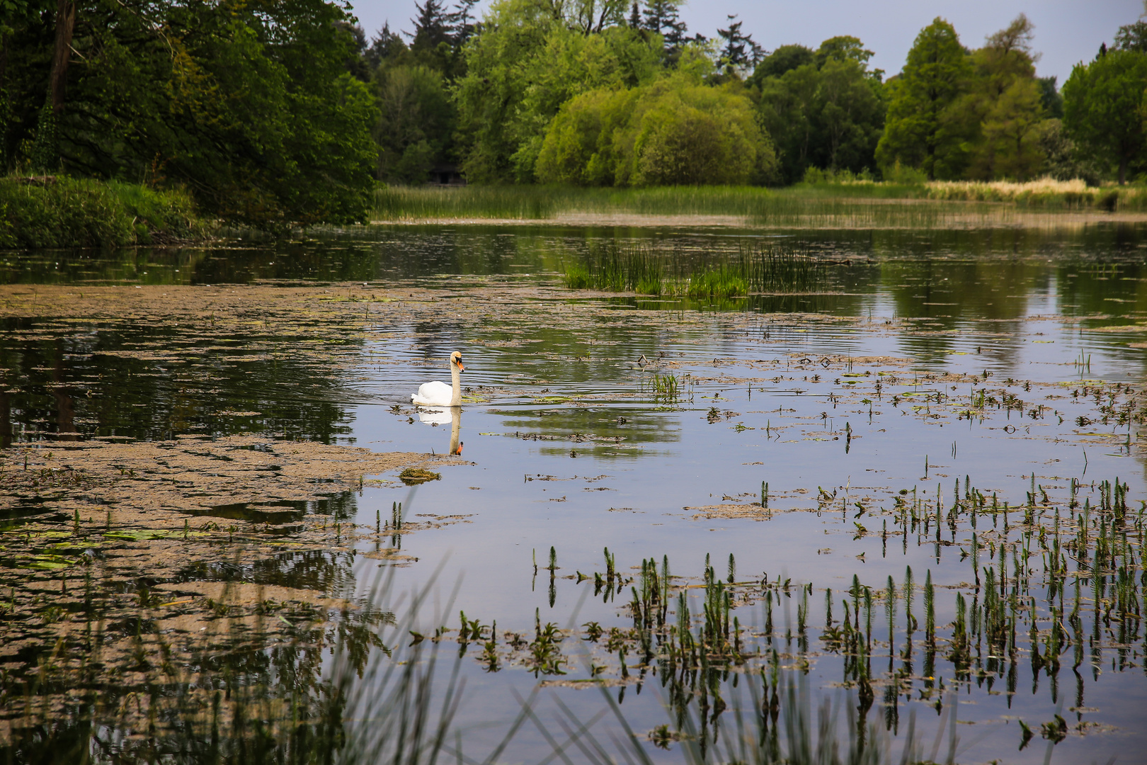 Irlandreise  2019...Offaly...075