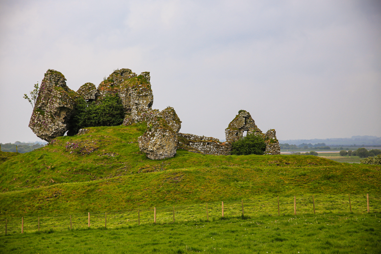 Irlandreise  2019...Offaly...089