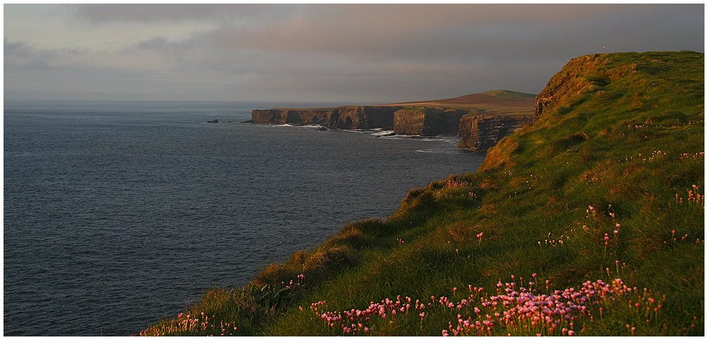 Irlandträume....