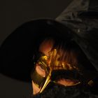 User Profile Photo