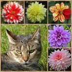 Irmtraud hatte Geburtstag