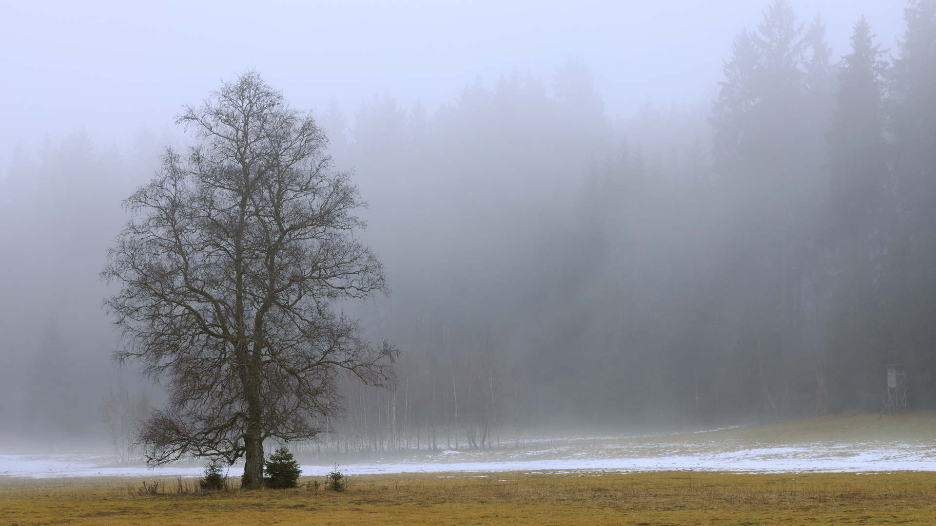 Irndorfer Hardt - Naturpark Obere Donau