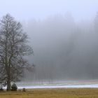 Irndorfer Hardt - Naturpark Obere Donau