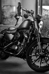 Iron 883 2019