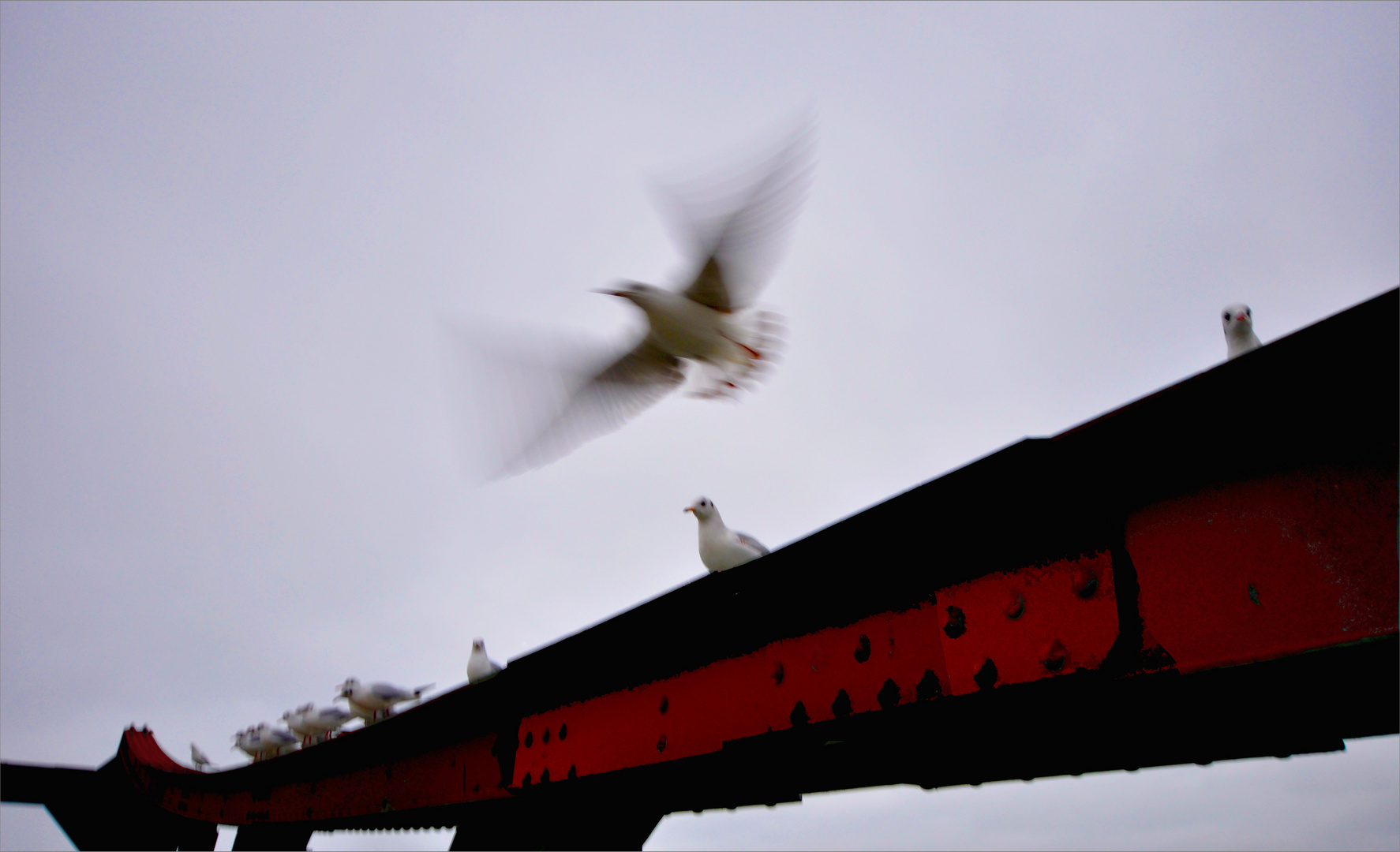 Iron Bridge......