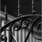 Iron Fence 