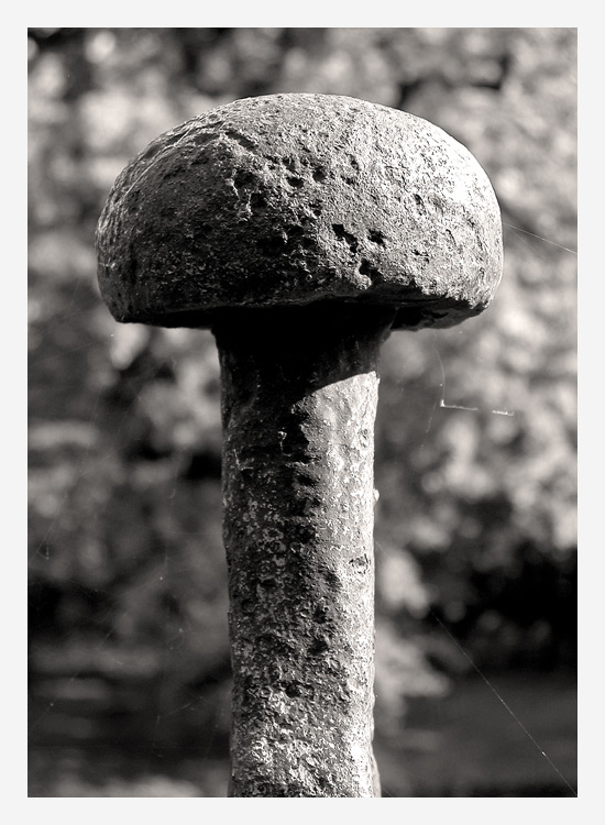 Iron Mushroom