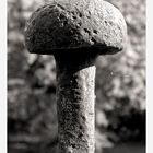 Iron Mushroom