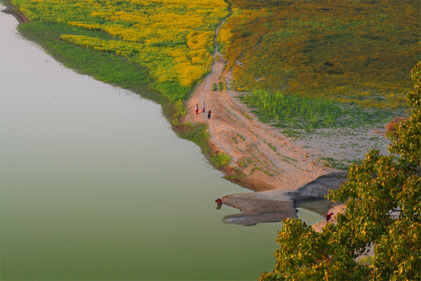 Irrawaddy evening - 2