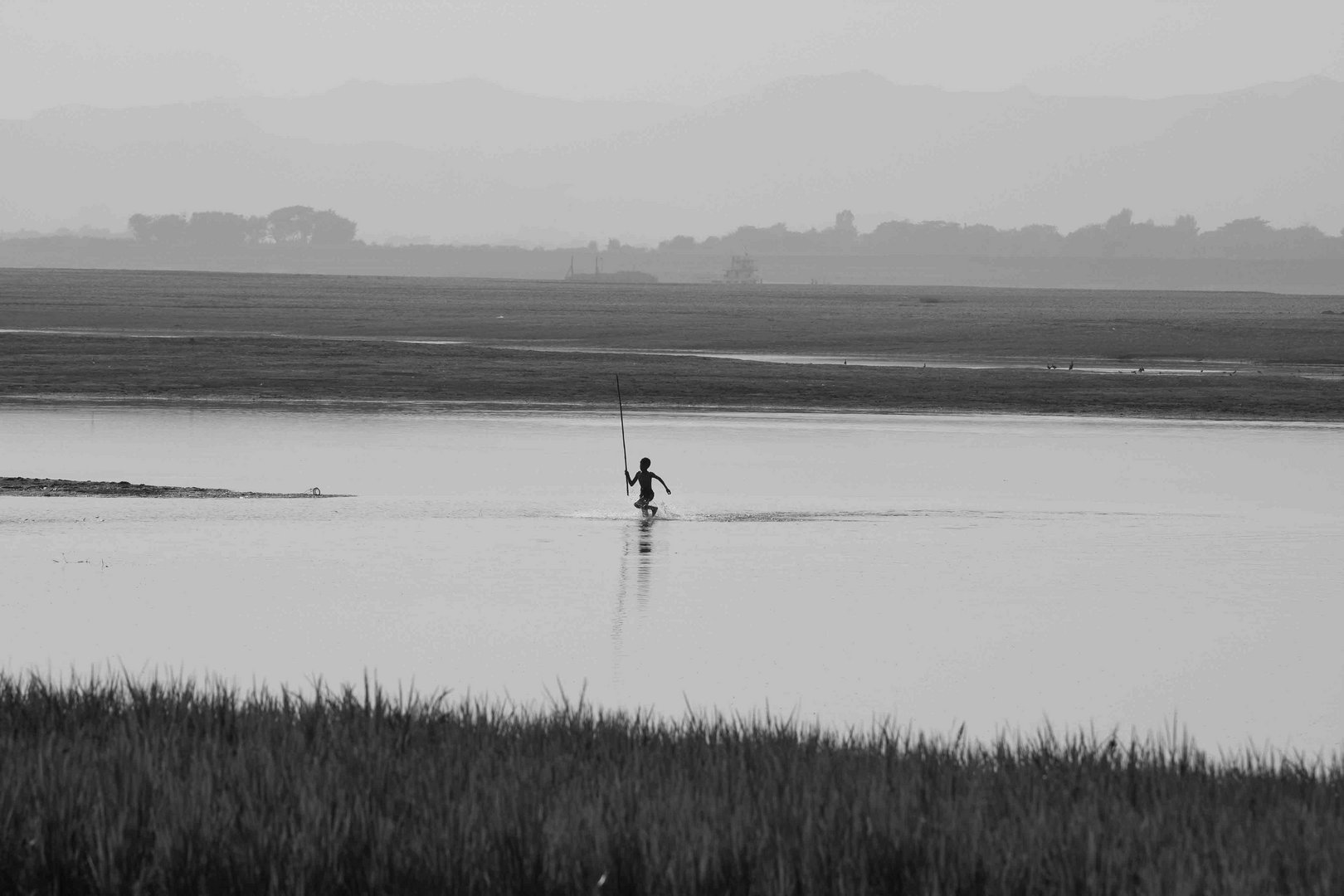 Irrawaddy silhouette