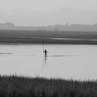 Irrawaddy silhouette