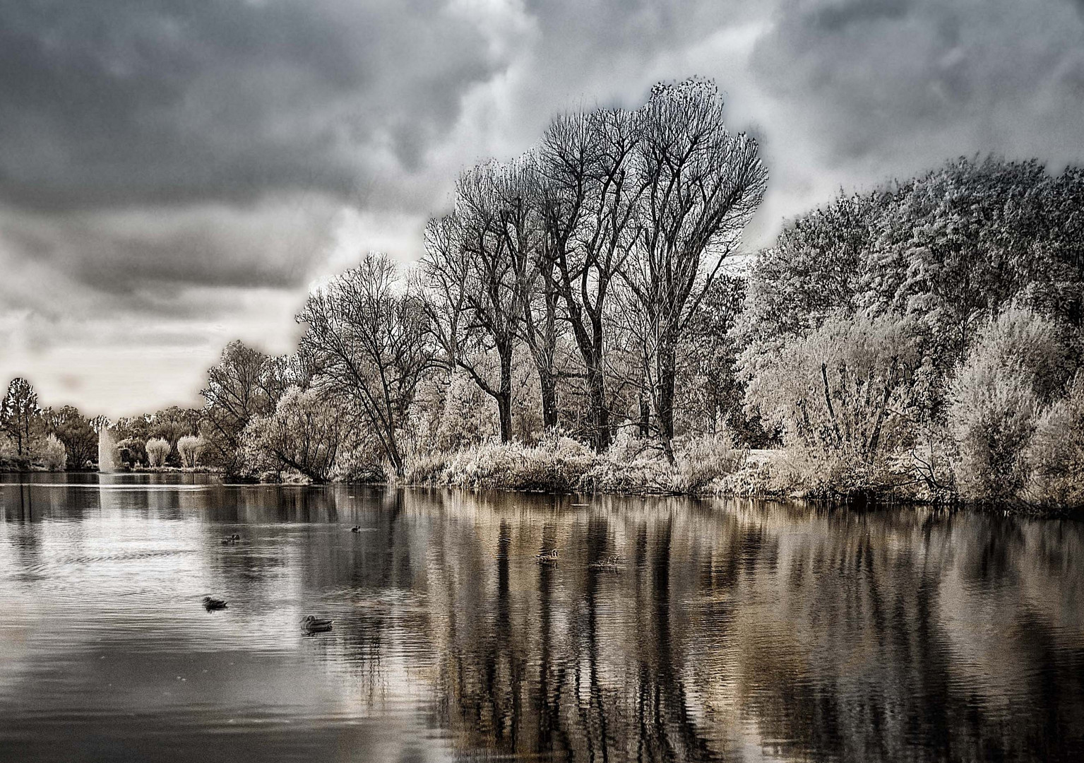 IRre - Herbst am See