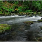 Irreler Wasserfälle 1