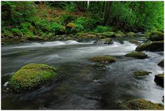 Irreler Wasserfälle 1