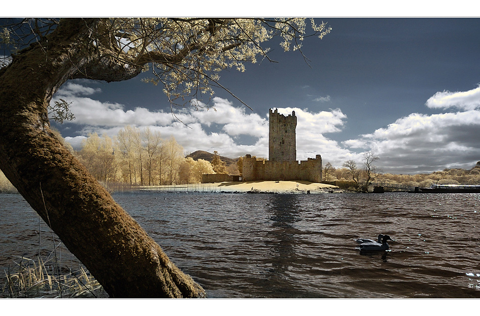 IRres Ross Castle